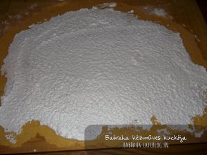 DSCF6011